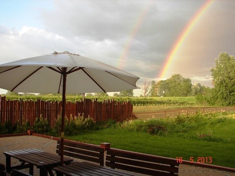 Gosciniec Kocmierzow Bed & Breakfast Sandomierz Bagian luar foto