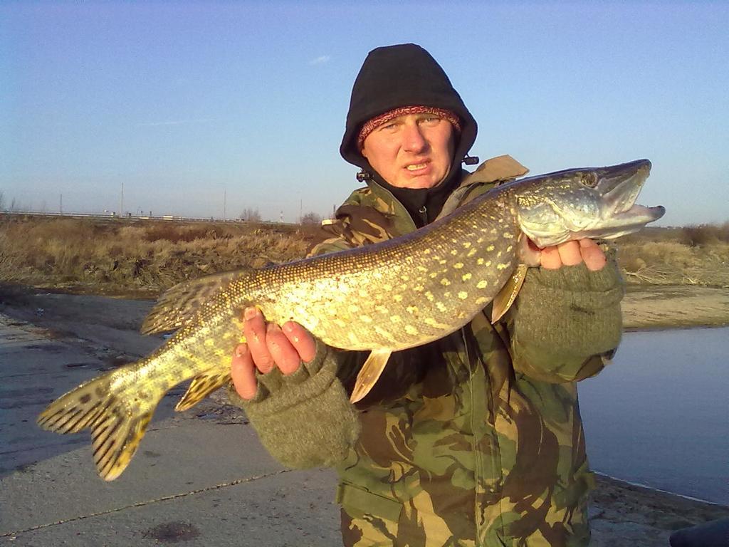 Gosciniec Kocmierzow Bed & Breakfast Sandomierz Bagian luar foto